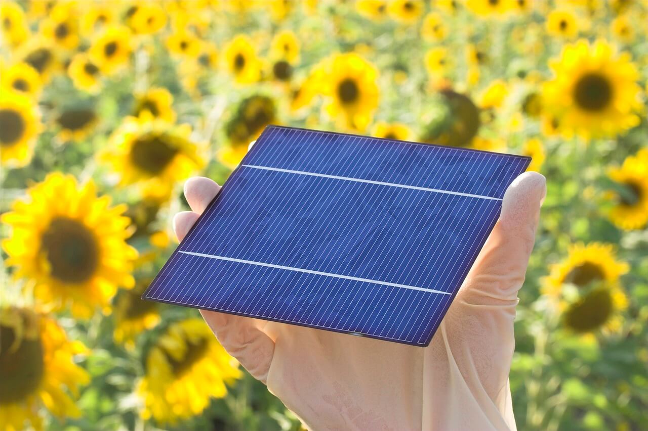 Unleash Savings: The Power of Solar Panels with Gary Lee Johnson!